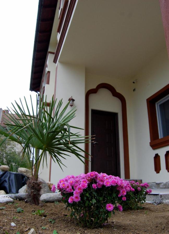 Vila Phoenix Calimanesti Exterior foto