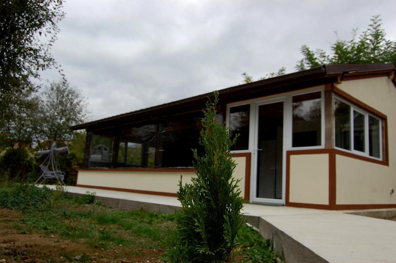Vila Phoenix Calimanesti Exterior foto