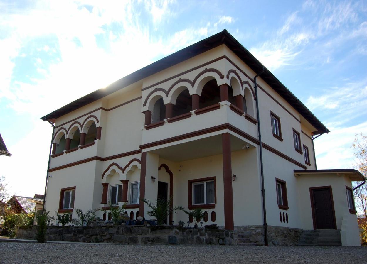 Vila Phoenix Calimanesti Exterior foto