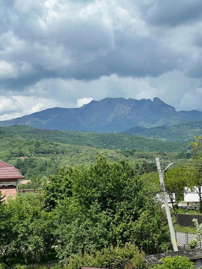 Vila Phoenix Calimanesti Exterior foto